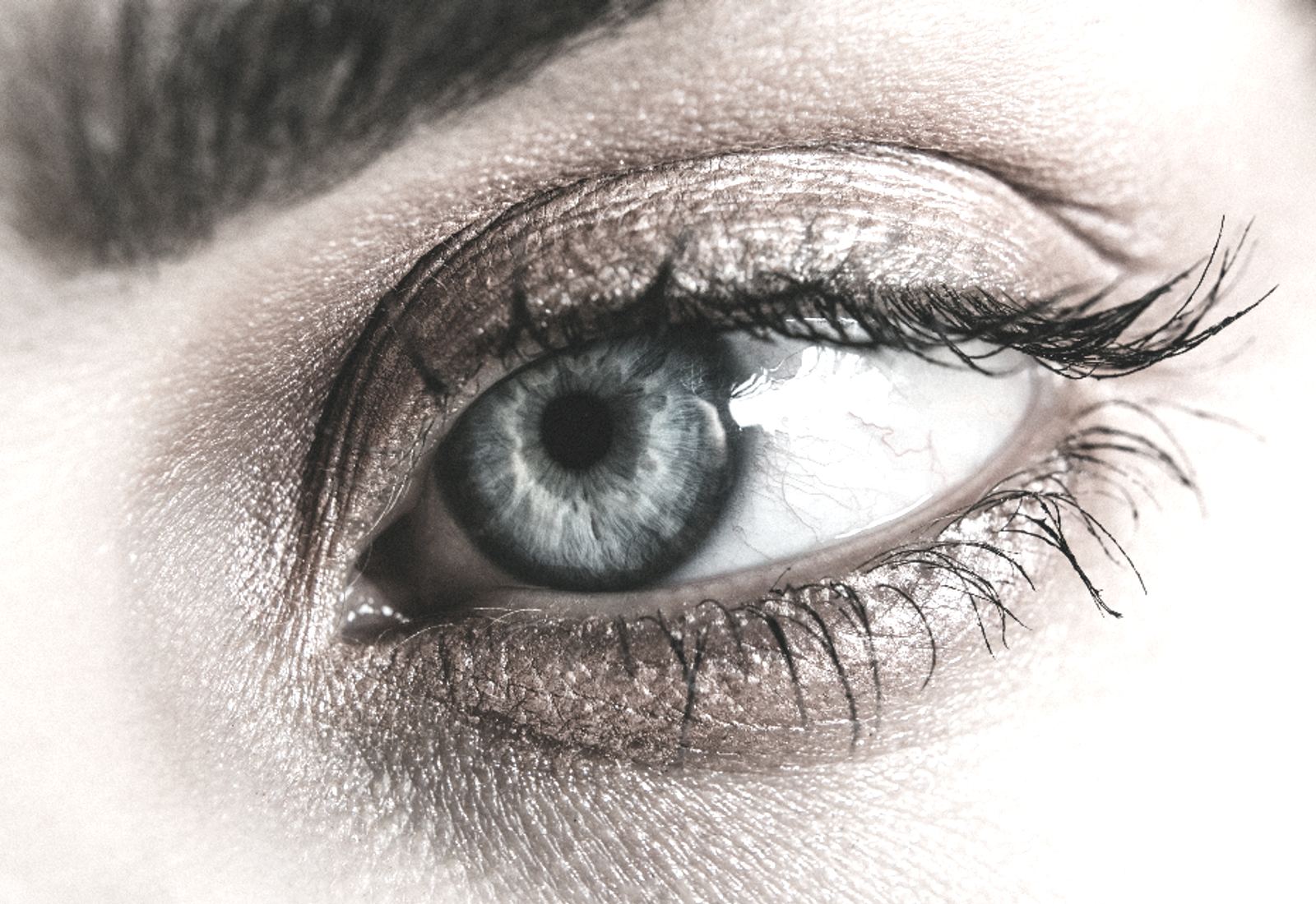 Yeux · Eyeliner (eye liner) — avant